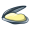 mussel