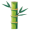 bamboo