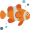 clownfish