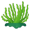 algae